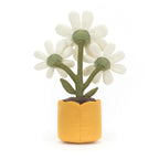AMUSEABLES DAISY - JELLYCAT