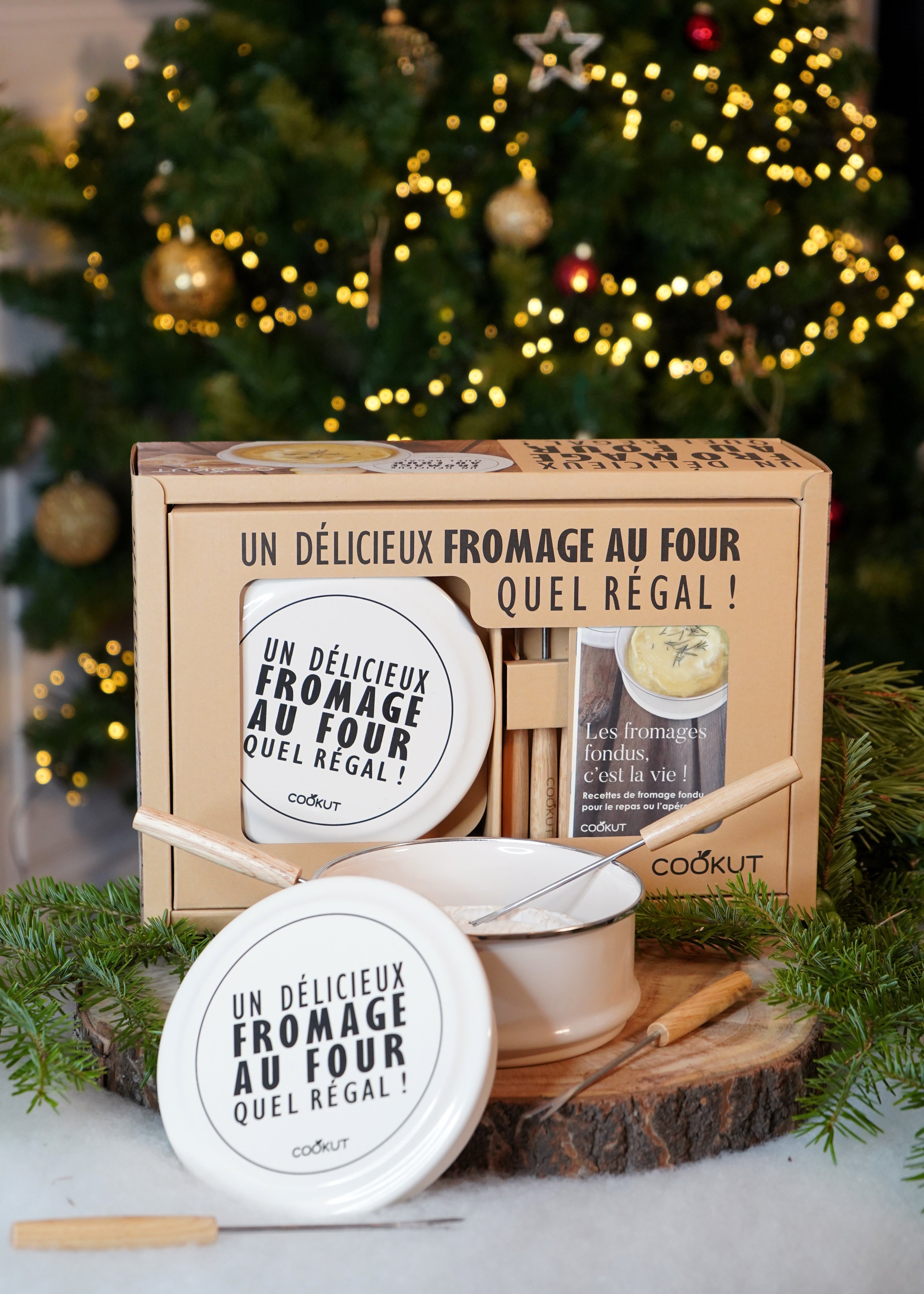 Cuiseur Fromage au Four