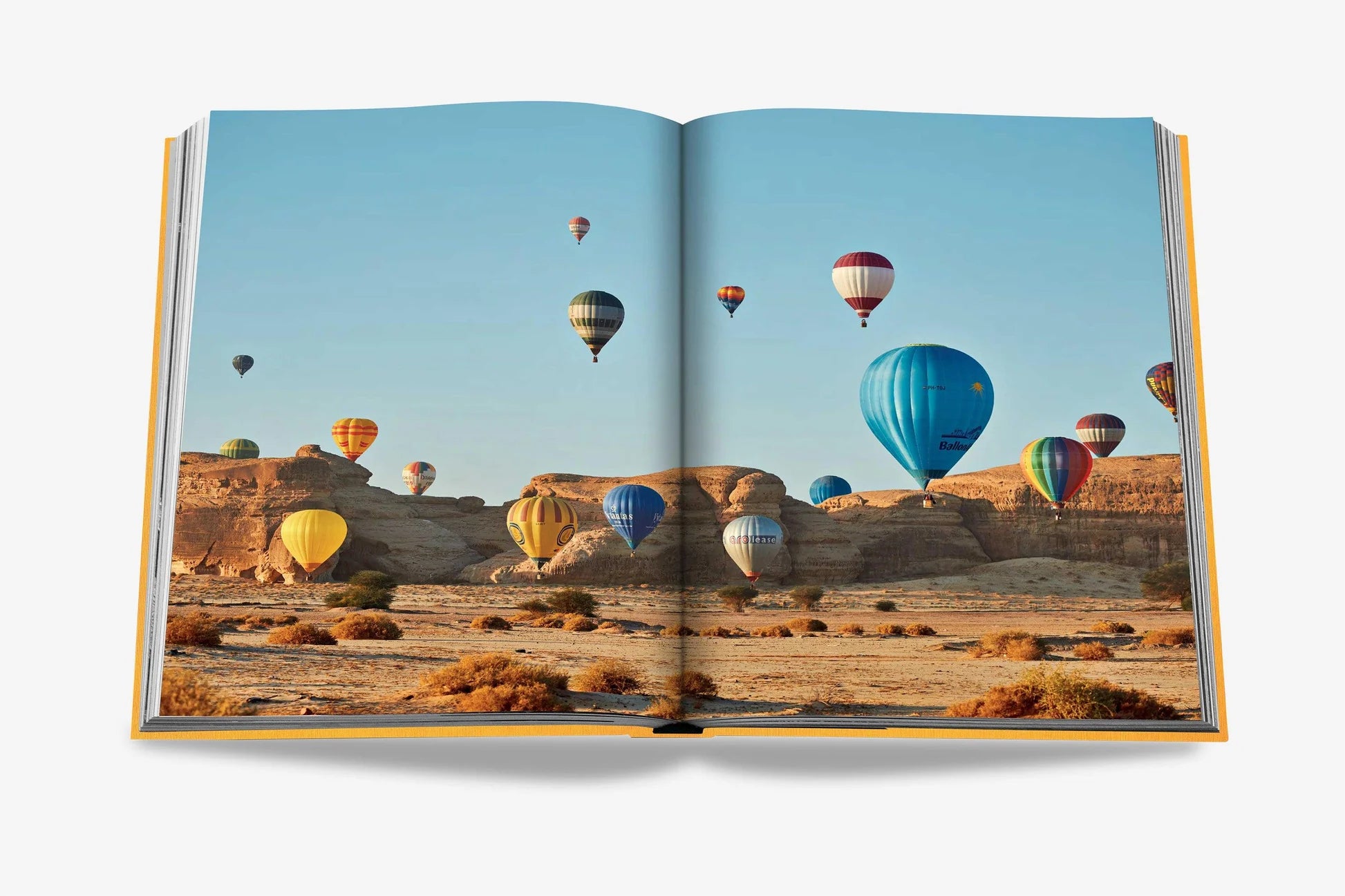 Livre Alula Ever