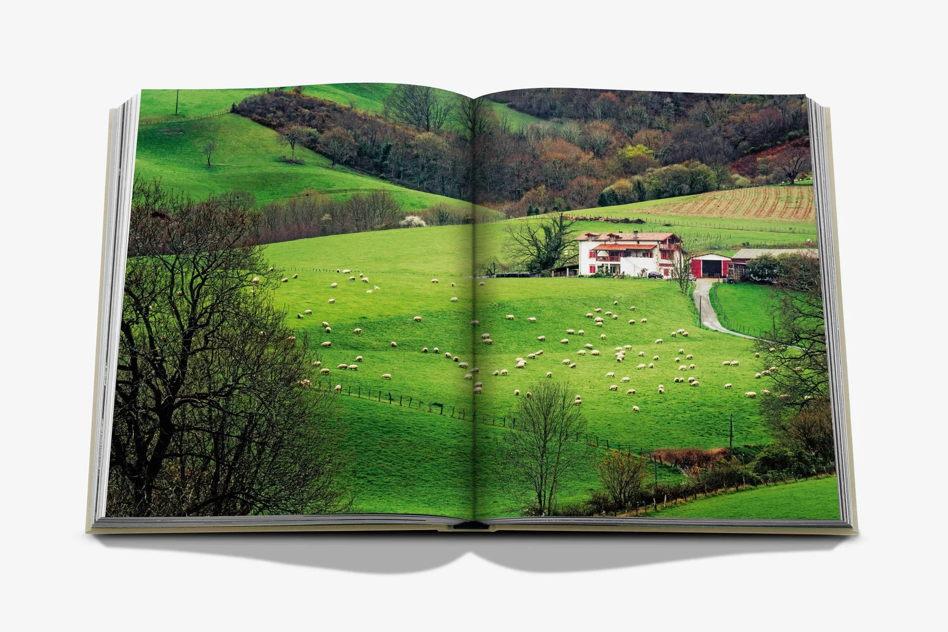 Livre Biarritz