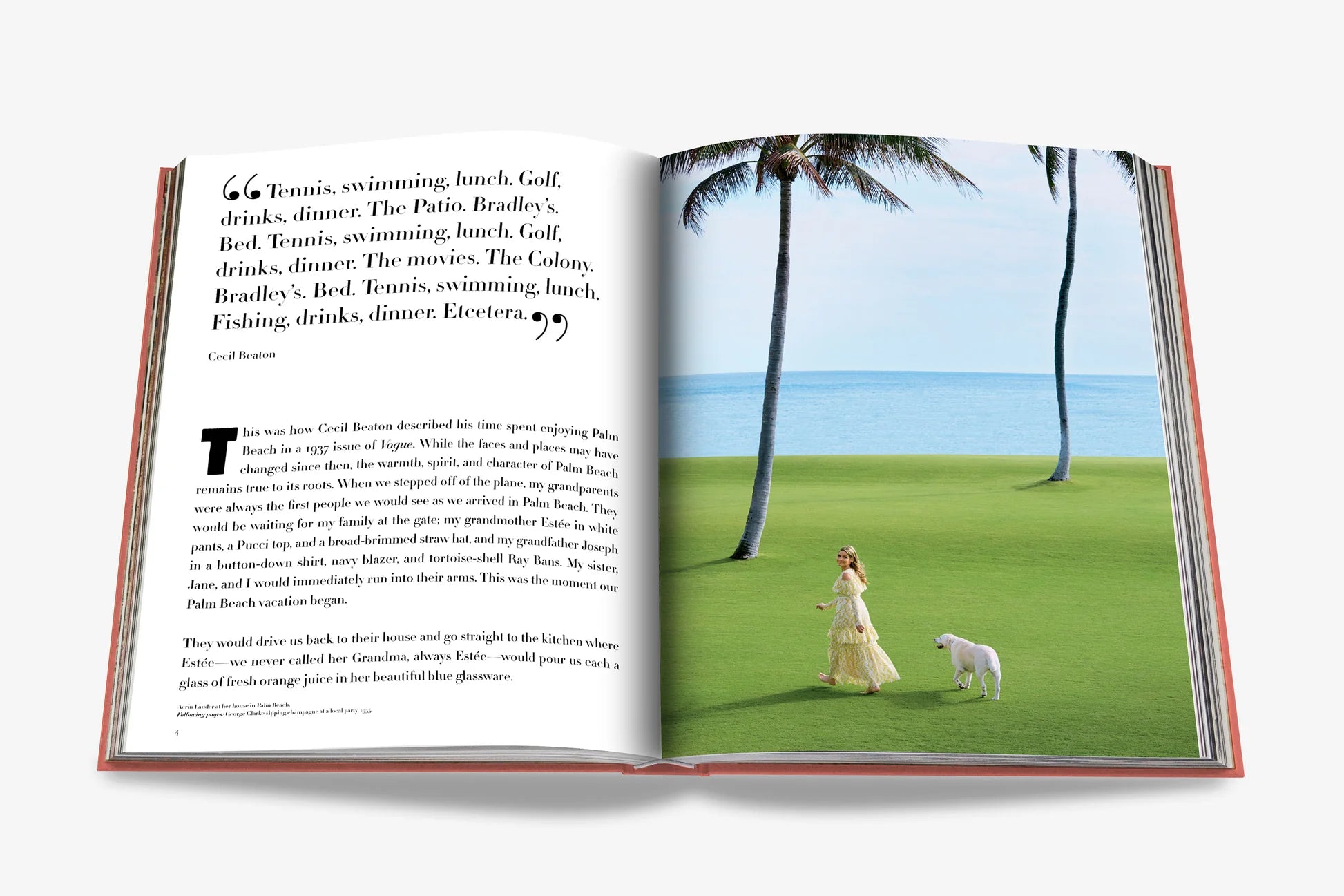 Livre Palm Beach