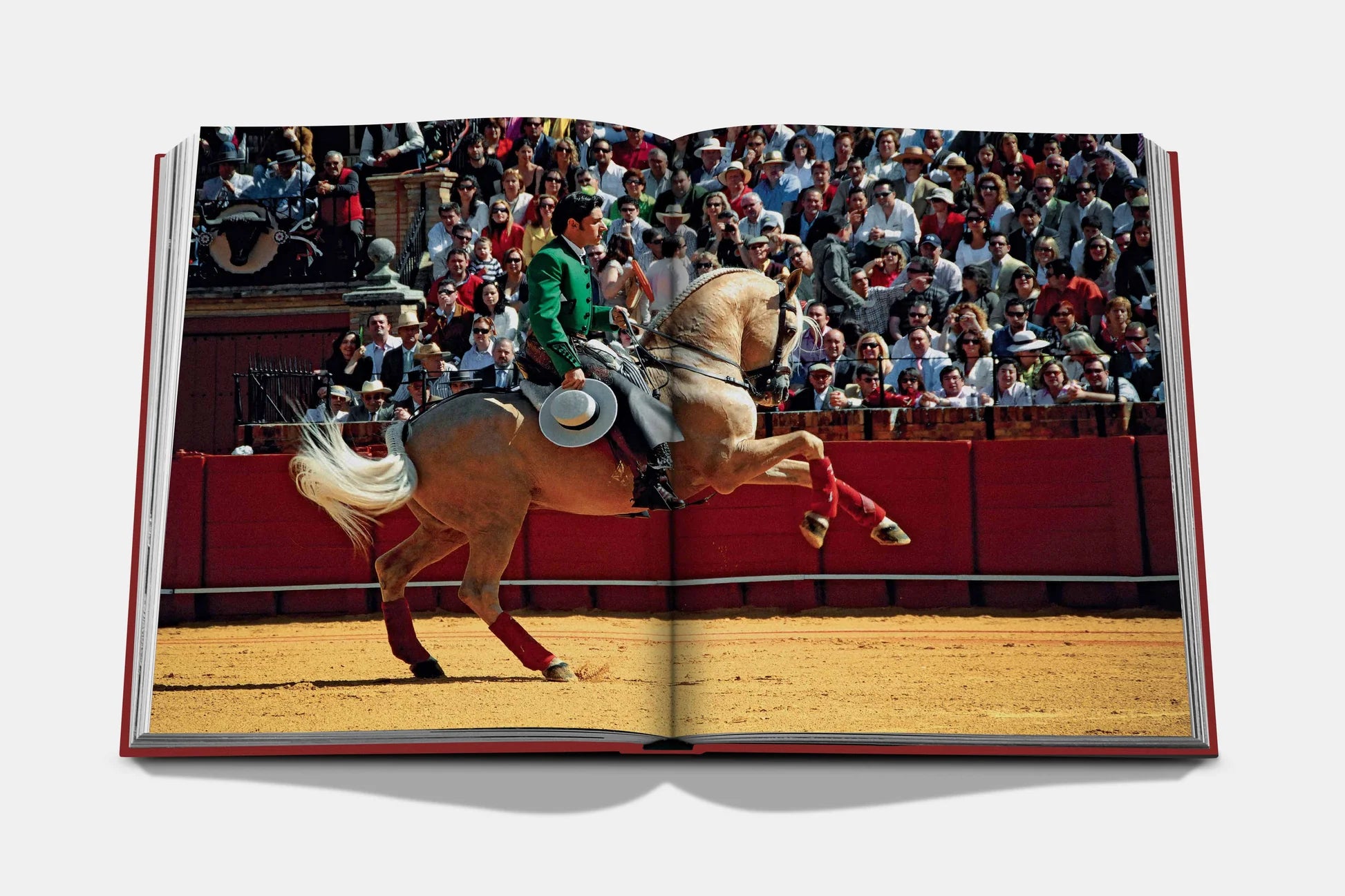 Livre Sevilla Arte