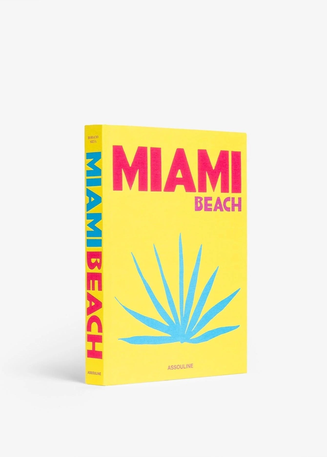 Livre Miami Beach